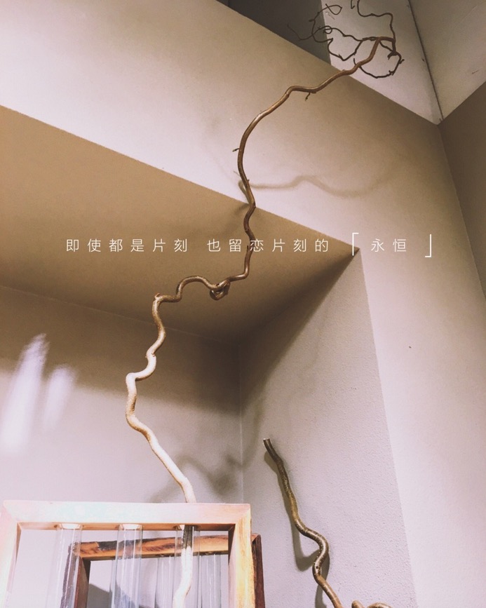 謝小飯的個(gè)人主頁（封面預(yù)覽） - 主頁封面設(shè)置 - 站酷設(shè)計(jì)師謝小飯?jiān)瓌?chuàng)素材 - 站酷ZCOOL