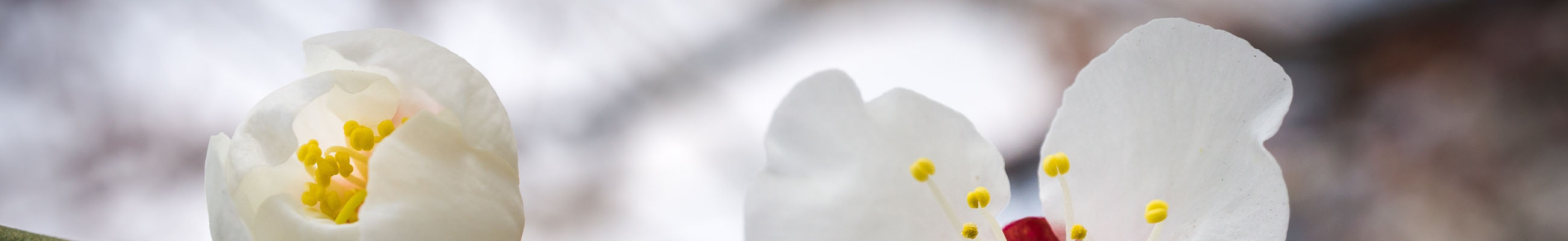 一个小菜包的个人主页（封面预览） - 主页封面设置 - 站酷设计师一个小菜包原创素材 - 站酷ZCOOL