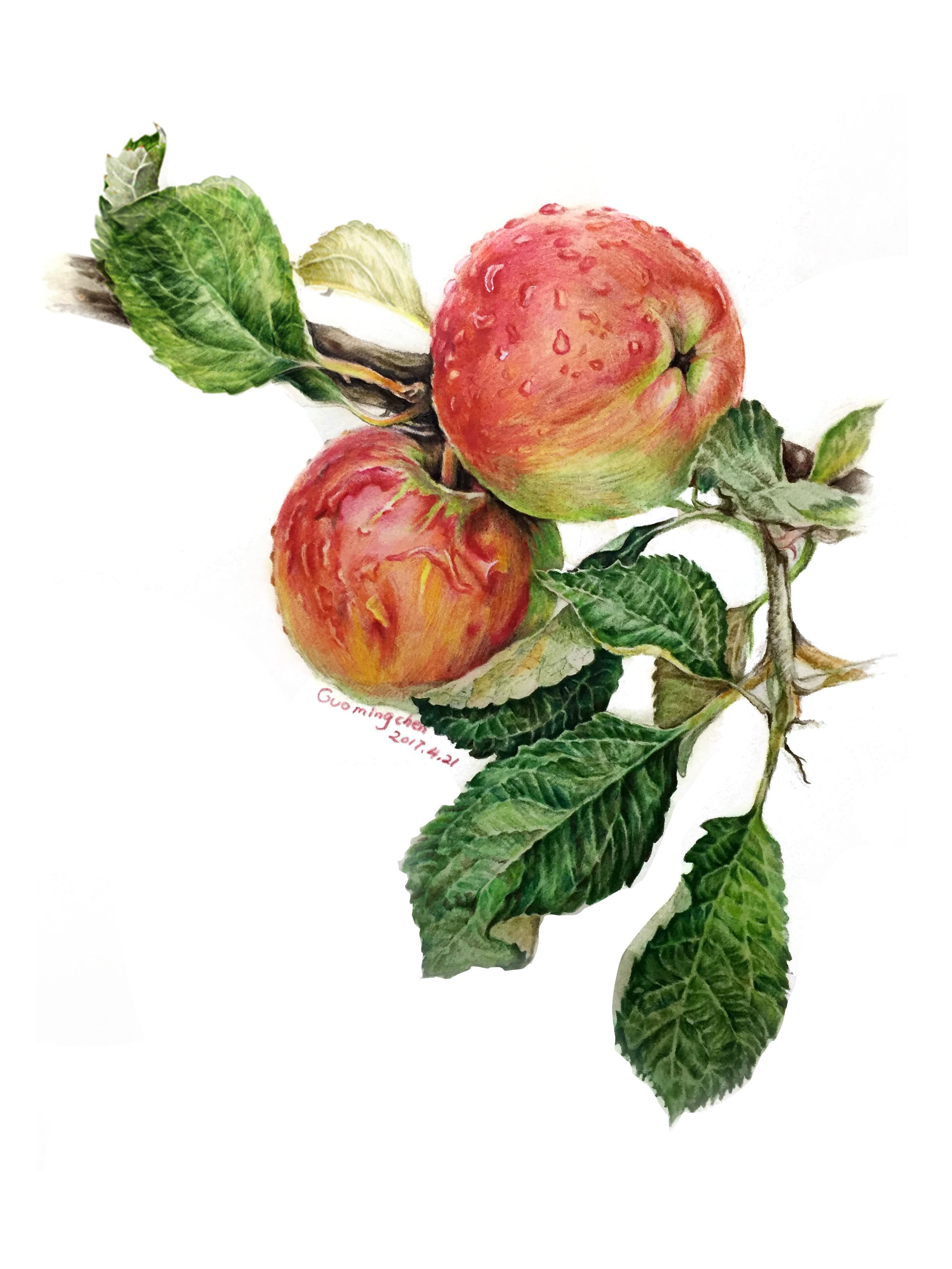 ming__c的個(gè)人主頁（封面預(yù)覽） - 主頁封面設(shè)置 - 站酷設(shè)計(jì)師ming__c原創(chuàng)素材 - 站酷ZCOOL