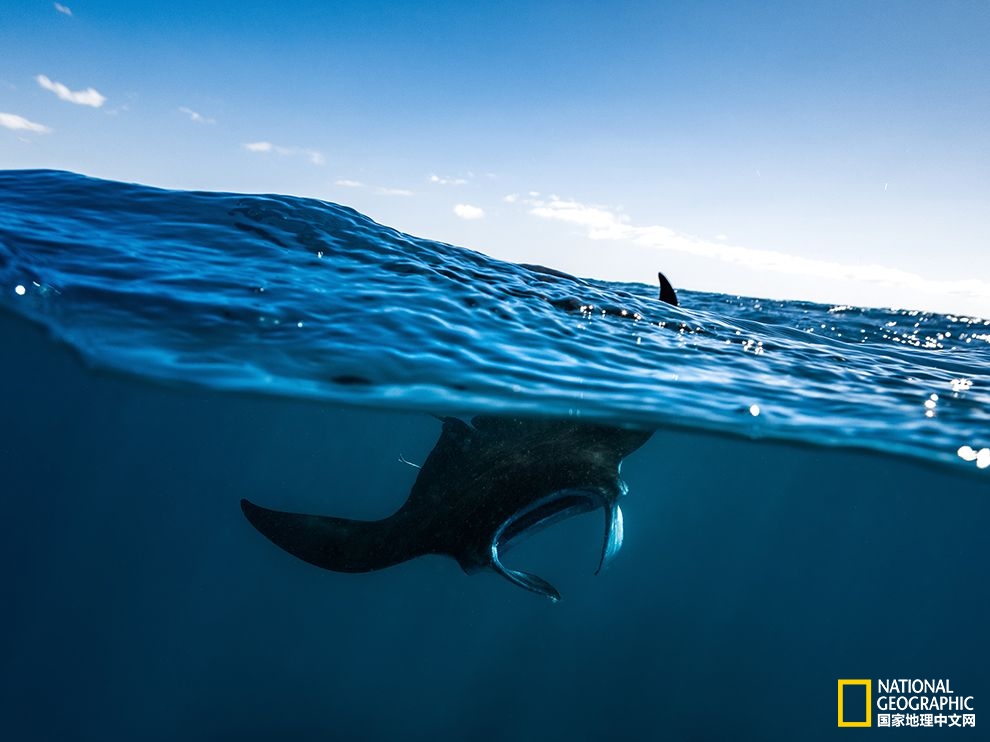 仁果儿zzj的个人主页（封面预览） - 主页封面设置 - 站酷设计师仁果儿zzj原创素材 - 站酷ZCOOL