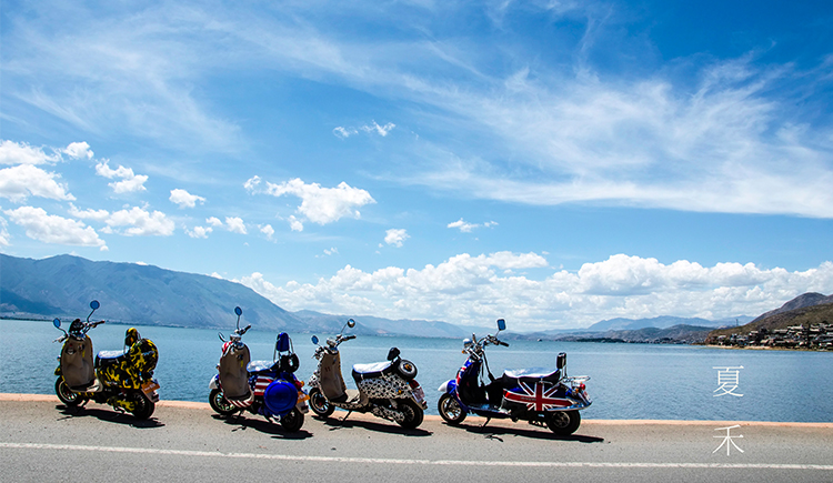 TenderDonggua的个人主页（封面预览） - 主页封面设置 - 站酷设计师TenderDonggua原创素材 - 站酷ZCOOL