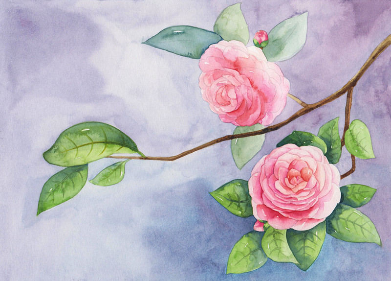 吳都Jasmine的個(gè)人主頁(yè)（封面預(yù)覽） - 主頁(yè)封面設(shè)置 - 站酷設(shè)計(jì)師吳都Jasmine原創(chuàng)素材 - 站酷ZCOOL