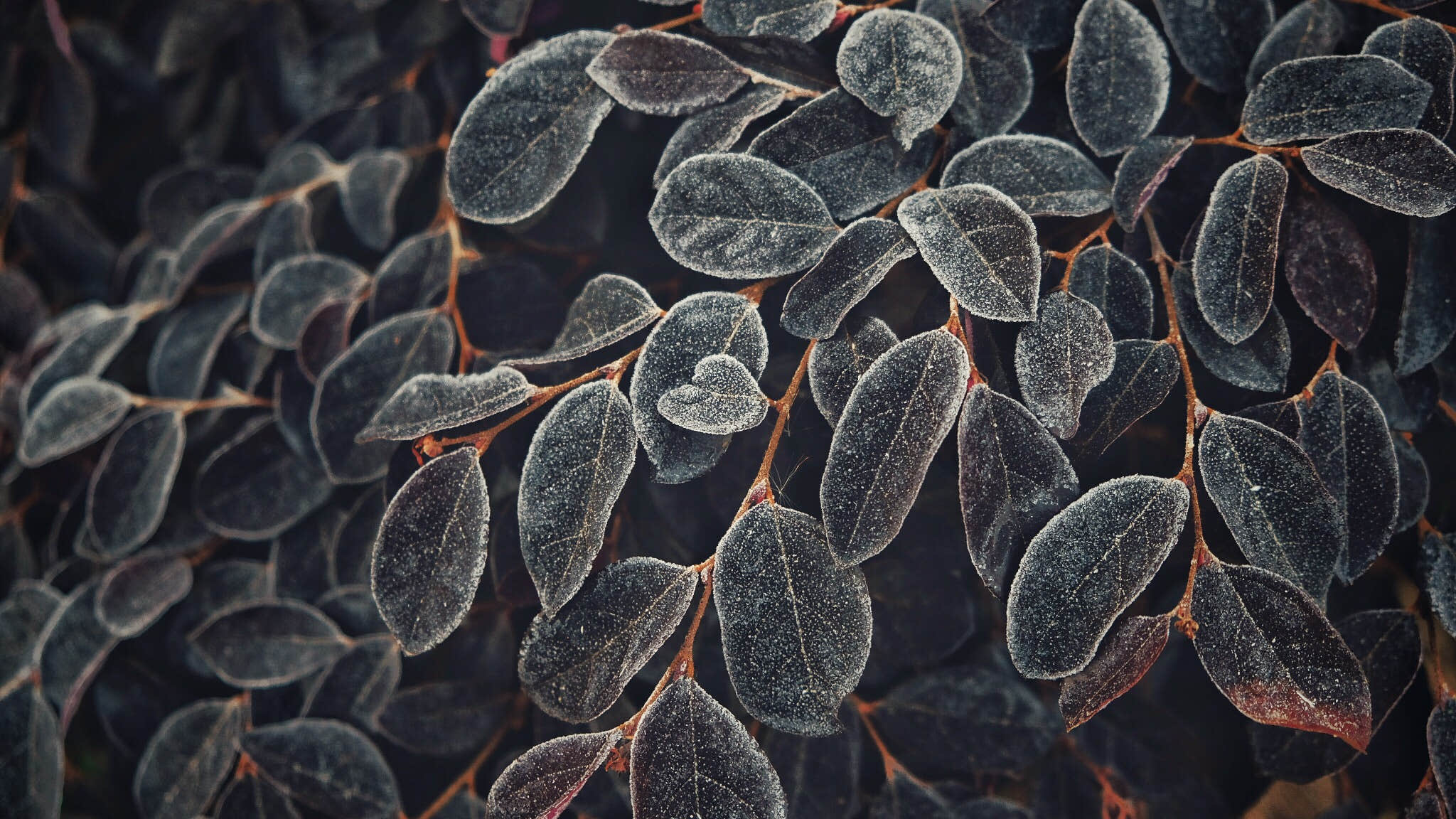 寸頭ct的個人主頁（封面預(yù)覽） - 主頁封面設(shè)置 - 站酷設(shè)計師寸頭ct原創(chuàng)素材 - 站酷ZCOOL