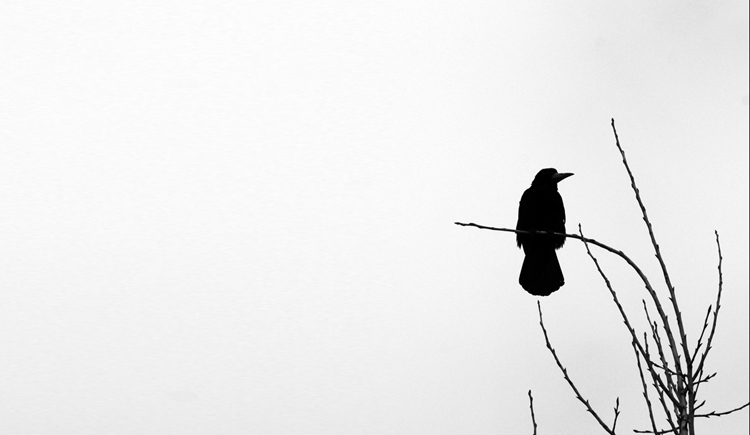 嘻小瓜的个人主页（封面预览） - 主页封面设置 - 站酷设计师嘻小瓜原创素材 - 站酷ZCOOL