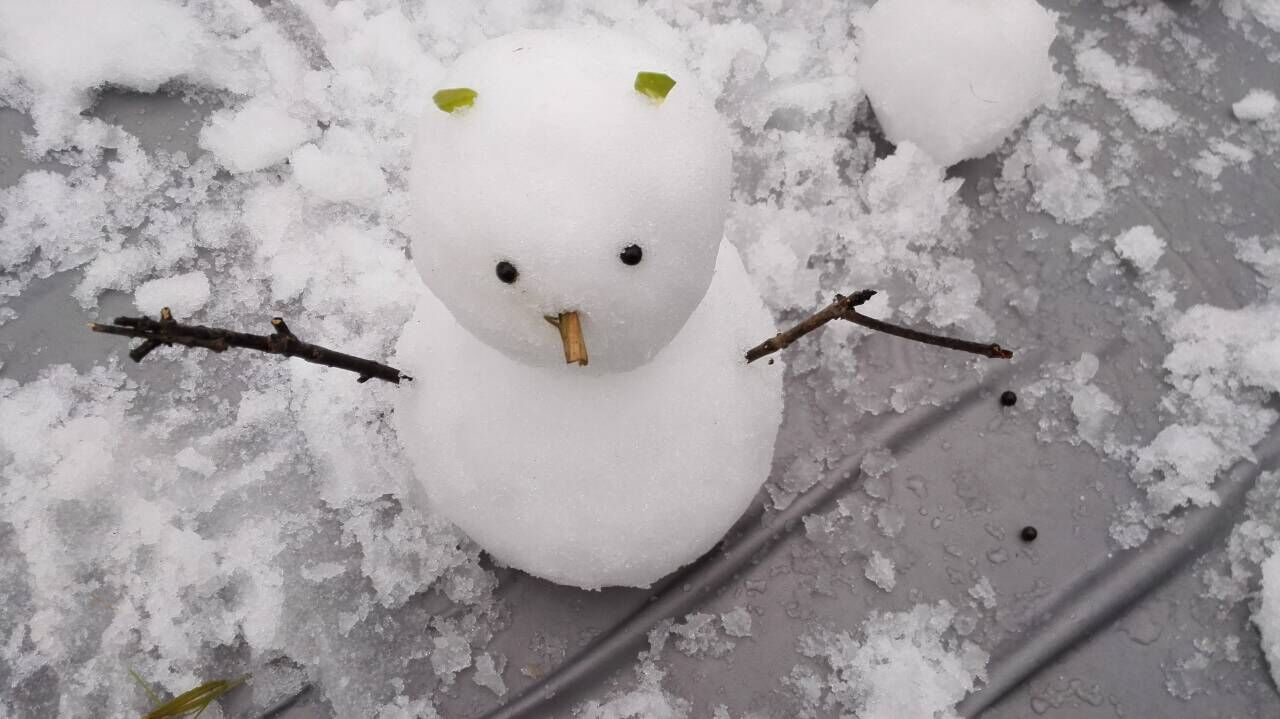 紫鳳梨的個(gè)人主頁（封面預(yù)覽） - 主頁封面設(shè)置 - 站酷設(shè)計(jì)師紫鳳梨原創(chuàng)素材 - 站酷ZCOOL