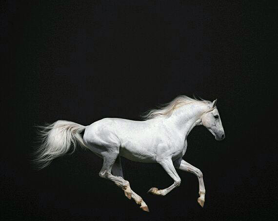 蝈蝈郭郭的个人主页（封面预览） - 主页封面设置 - 站酷设计师蝈蝈郭郭原创素材 - 站酷ZCOOL