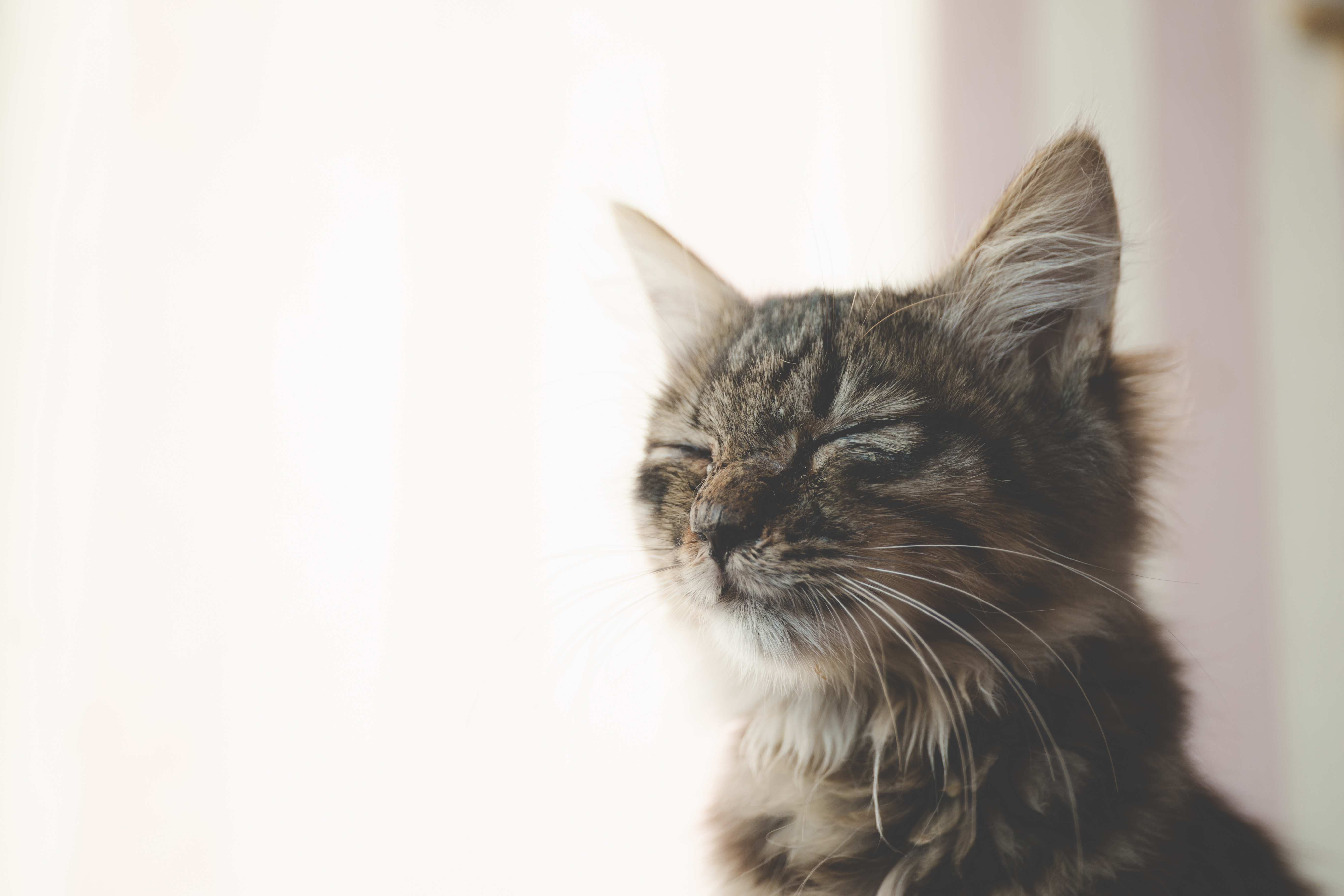 scorpio_b的个人主页（封面预览） - 主页封面设置 - 站酷设计师scorpio_b原创素材 - 站酷ZCOOL