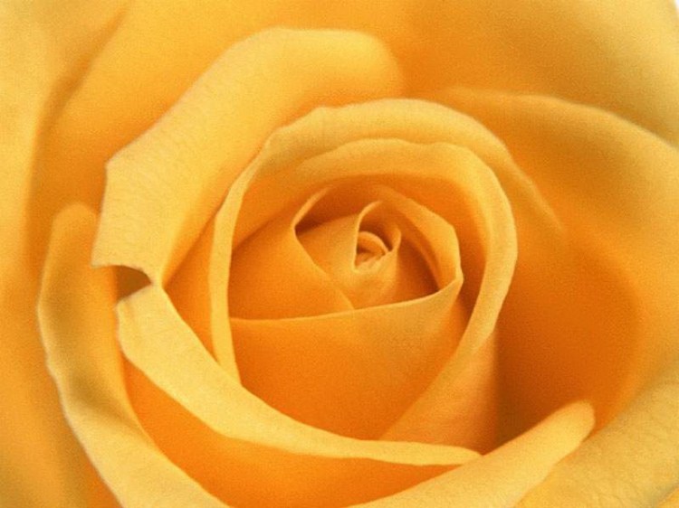 WAH1125的個人主頁（封面預(yù)覽） - 主頁封面設(shè)置 - 站酷設(shè)計師WAH1125原創(chuàng)素材 - 站酷ZCOOL