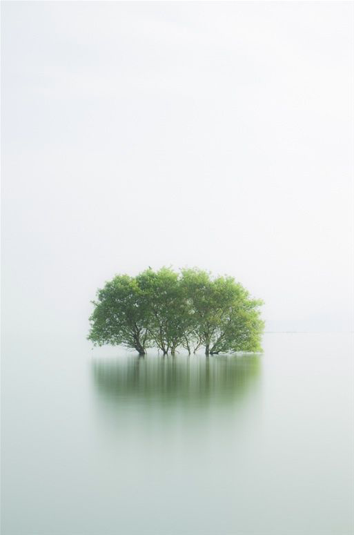 小师叔白又白的个人主页（封面预览） - 主页封面设置 - 站酷设计师小师叔白又白原创素材 - 站酷ZCOOL