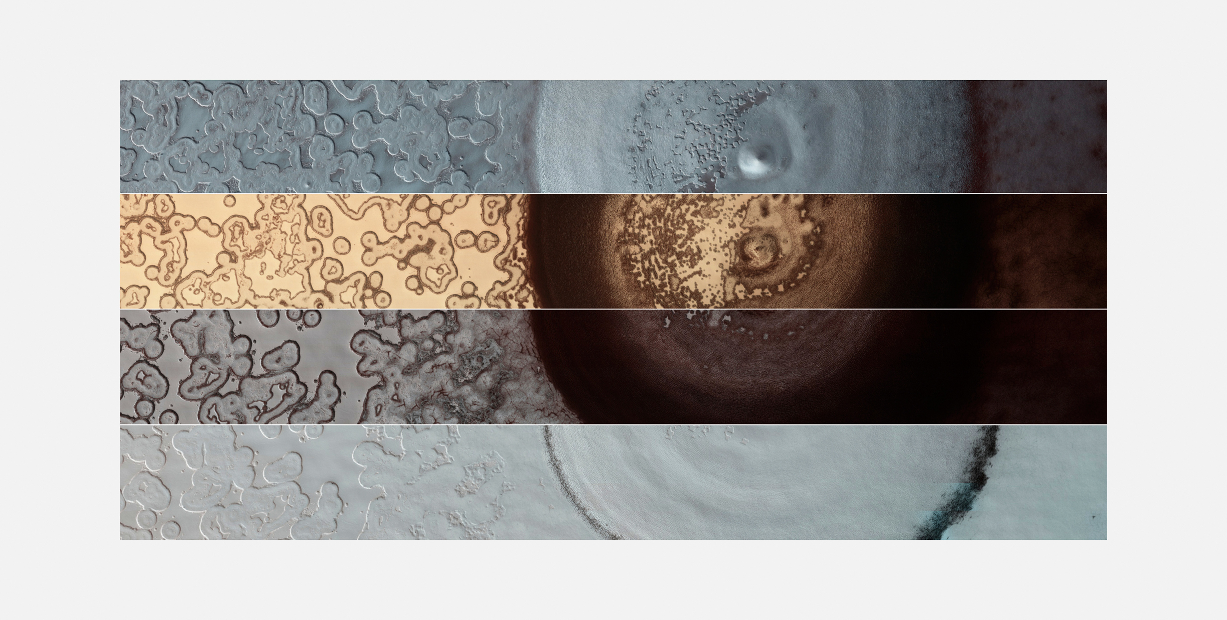 垃圾场里的大怪鲨的个人主页（封面预览） - 主页封面设置 - 站酷设计师垃圾场里的大怪鲨原创素材 - 站酷ZCOOL