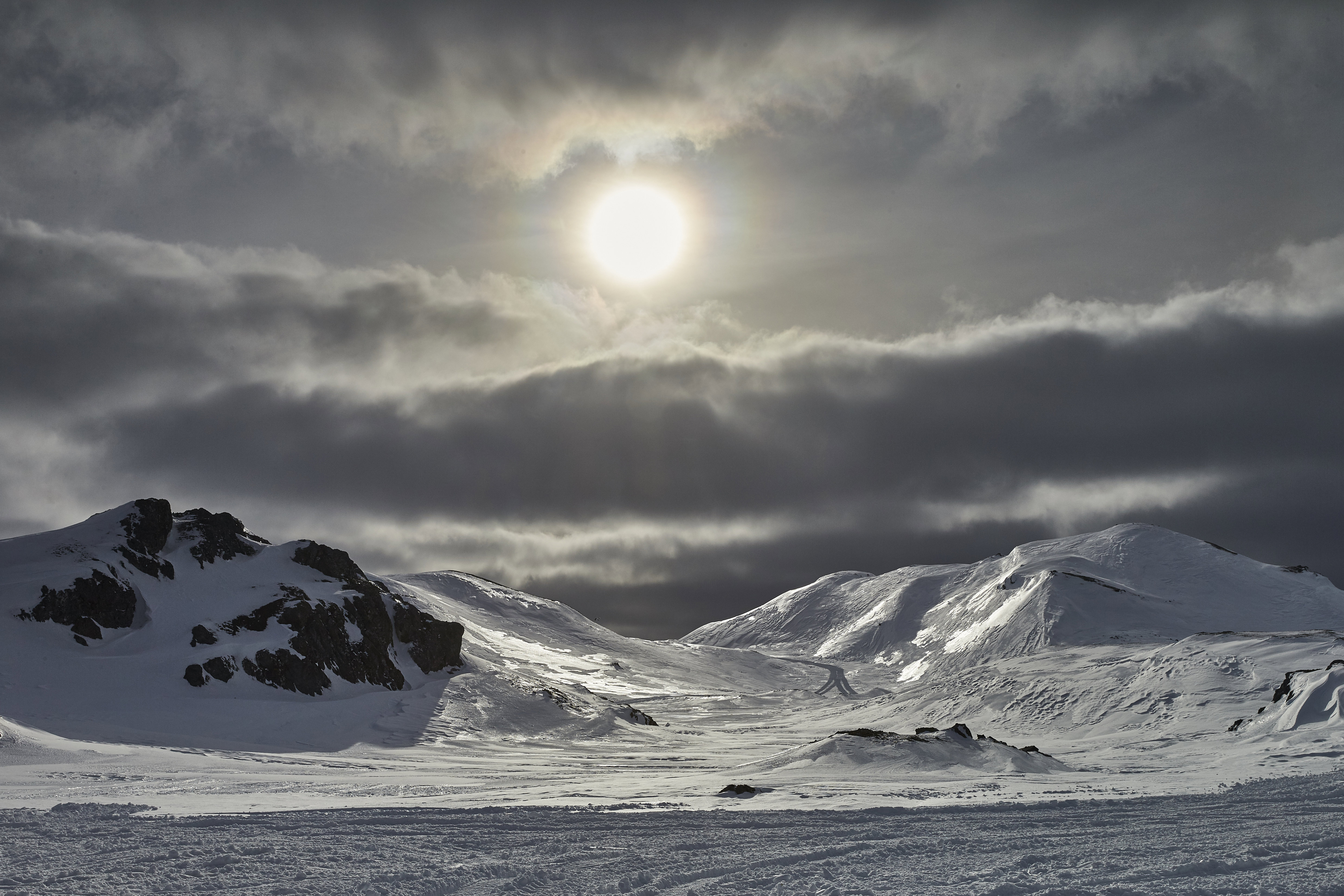 msm鹿陽的個人主頁（封面預(yù)覽） - 主頁封面設(shè)置 - 站酷設(shè)計師msm鹿陽原創(chuàng)素材 - 站酷ZCOOL