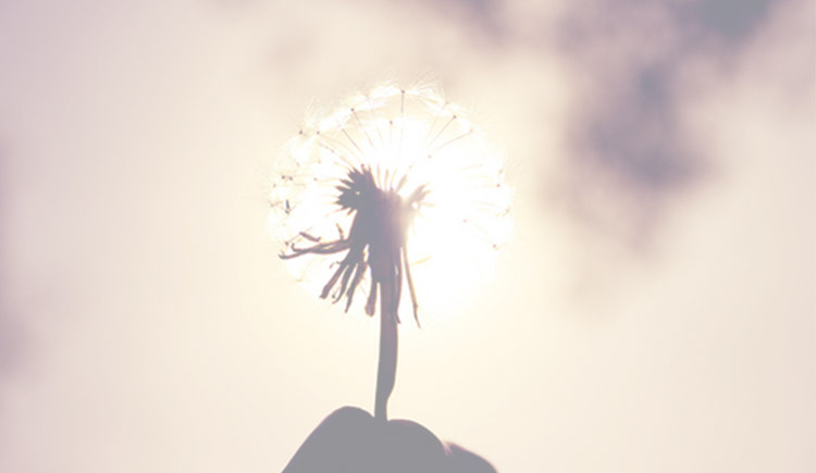 子夜昙花的个人主页（封面预览） - 主页封面设置 - 站酷设计师子夜昙花原创素材 - 站酷ZCOOL