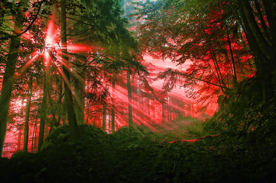 東域英才的个人主页（封面预览） - 主页封面设置 - 站酷设计师東域英才原创素材 - 站酷ZCOOL