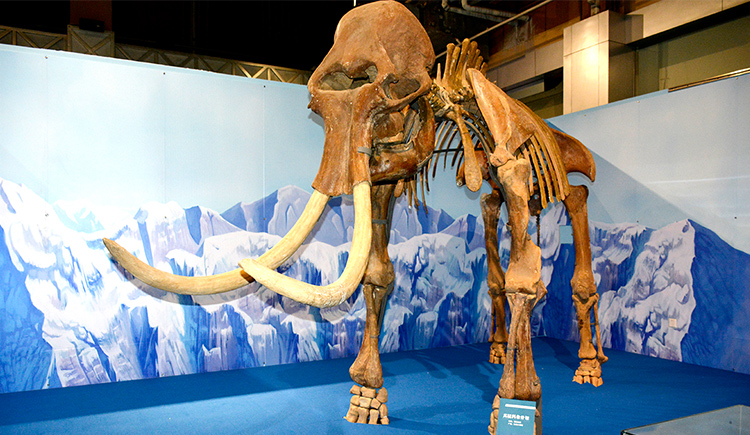 尹世界的个人主页（封面预览） - 主页封面设置 - 站酷设计师尹世界原创素材 - 站酷ZCOOL