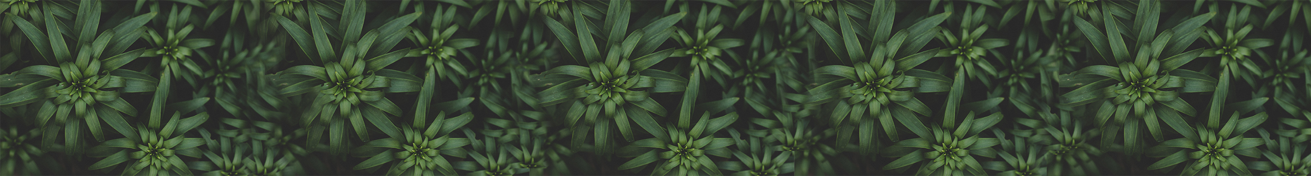 Seven设计铺的个人主页（封面预览） - 主页封面设置 - 站酷设计师Seven设计铺原创素材 - 站酷ZCOOL