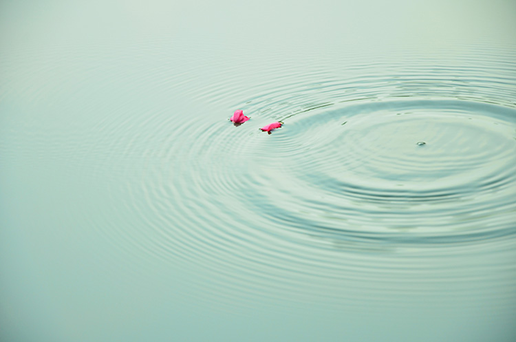 三斤大米的個(gè)人主頁(yè)（封面預(yù)覽） - 主頁(yè)封面設(shè)置 - 站酷設(shè)計(jì)師三斤大米原創(chuàng)素材 - 站酷ZCOOL