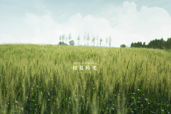 terran0115的個人主頁（封面預(yù)覽） - 主頁封面設(shè)置 - 站酷設(shè)計師terran0115原創(chuàng)素材 - 站酷ZCOOL