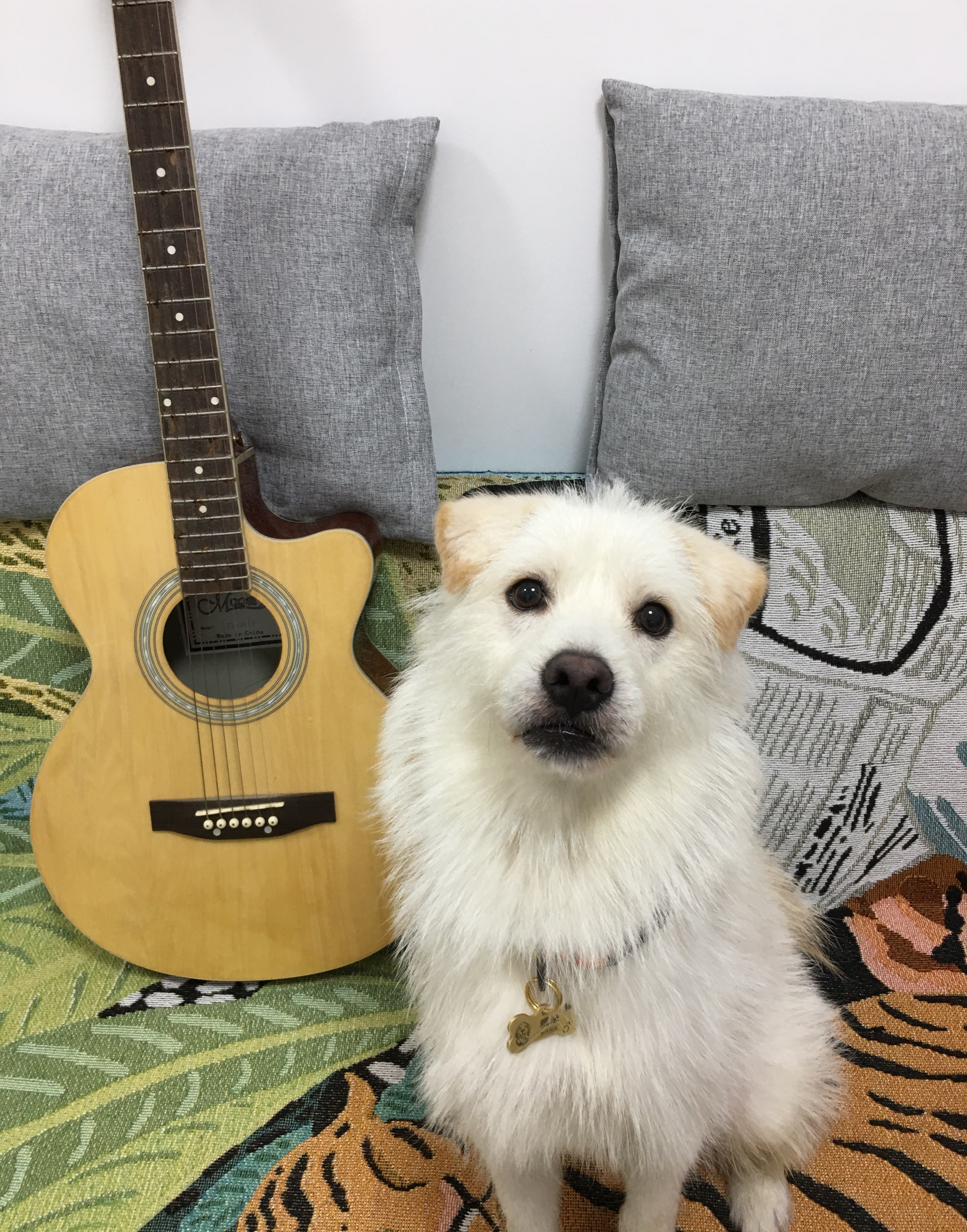 肉C爱吃肉的个人主页（封面预览） - 主页封面设置 - 站酷设计师肉C爱吃肉原创素材 - 站酷ZCOOL