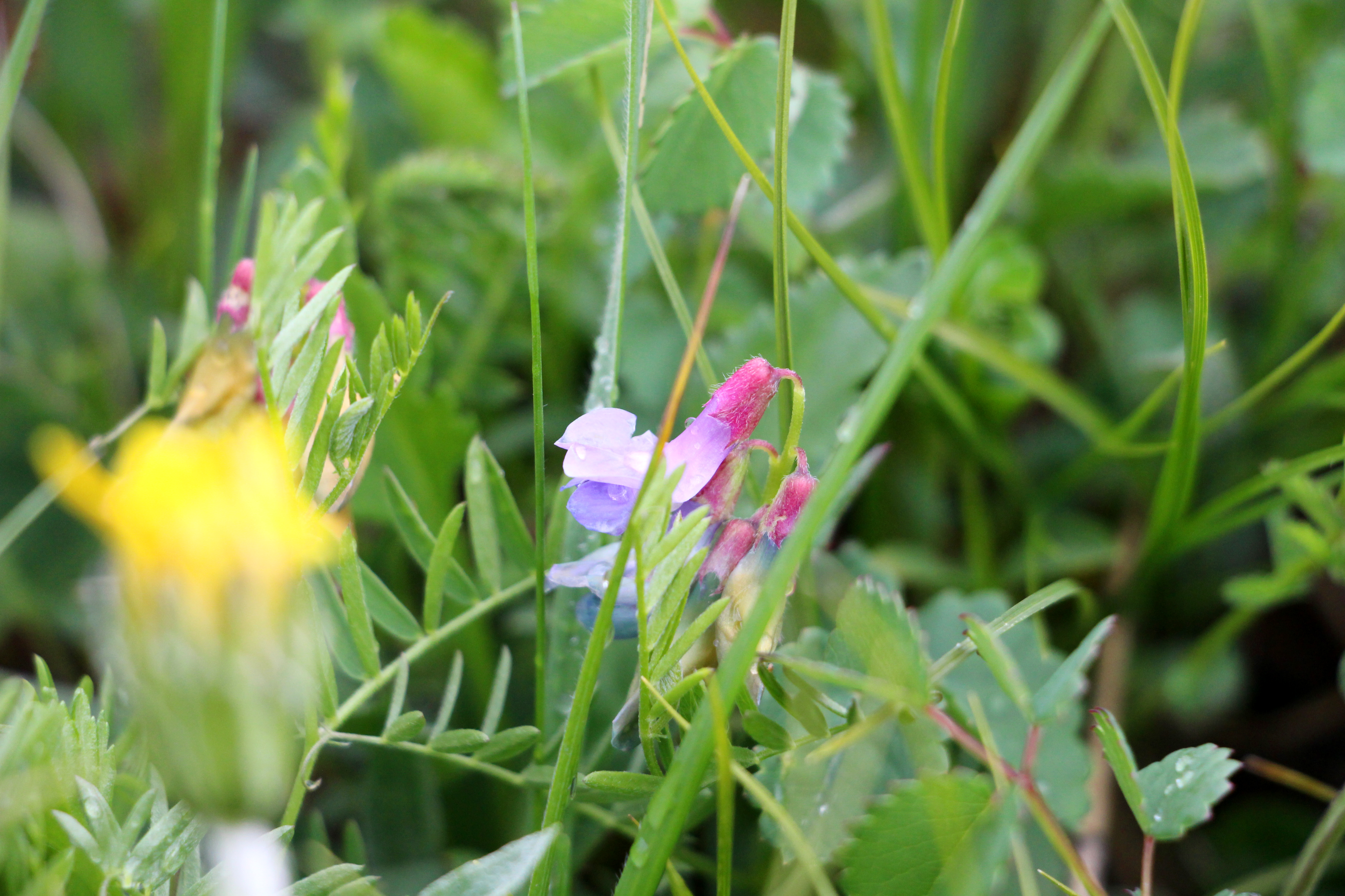手撕鱿鱼丝的个人主页（封面预览） - 主页封面设置 - 站酷设计师手撕鱿鱼丝原创素材 - 站酷ZCOOL