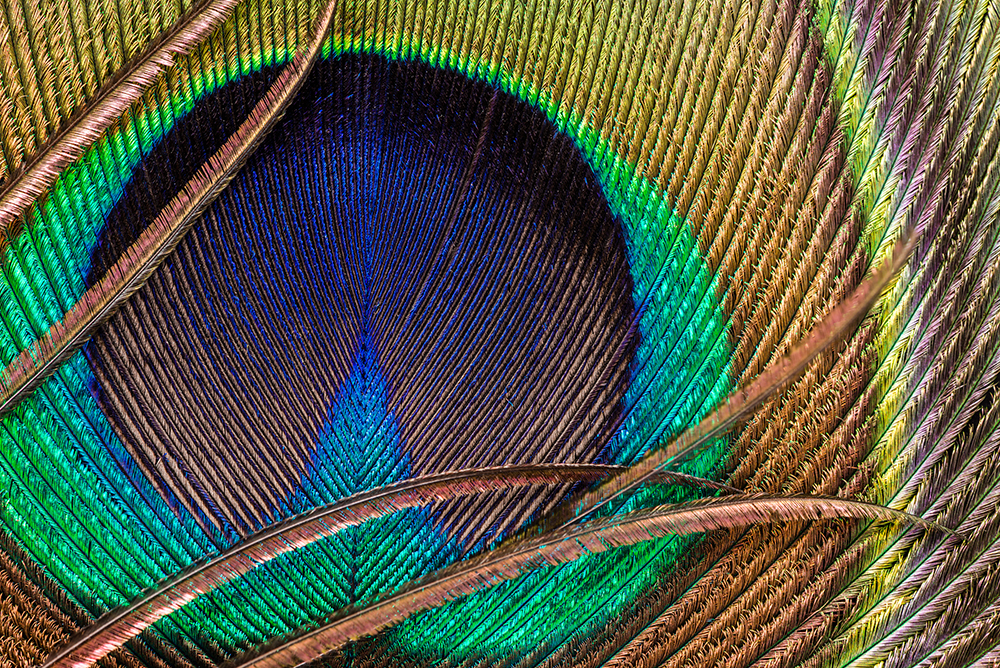 wangna3854897的个人主页（封面预览） - 主页封面设置 - 站酷设计师wangna3854897原创素材 - 站酷ZCOOL