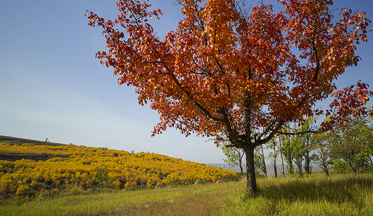 DDR登瑞的个人主页（封面预览） - 主页封面设置 - 站酷设计师DDR登瑞原创素材 - 站酷ZCOOL