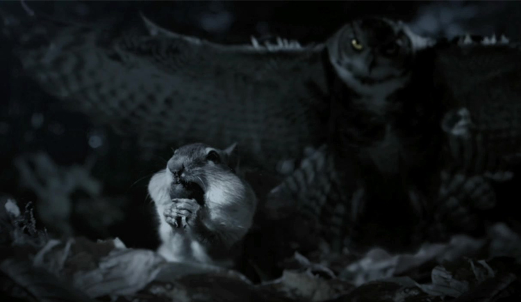 Parttwo的个人主页（封面预览） - 主页封面设置 - 站酷设计师Parttwo原创素材 - 站酷ZCOOL