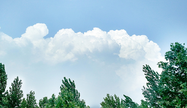 嘣咂的个人主页（封面预览） - 主页封面设置 - 站酷设计师嘣咂原创素材 - 站酷ZCOOL