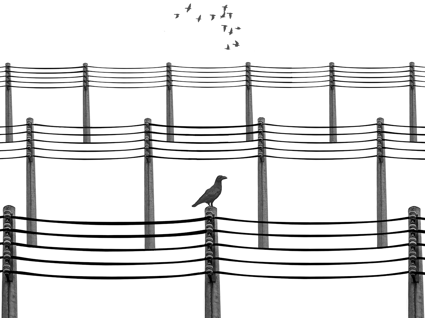 微末与岸的个人主页（封面预览） - 主页封面设置 - 站酷设计师微末与岸原创素材 - 站酷ZCOOL