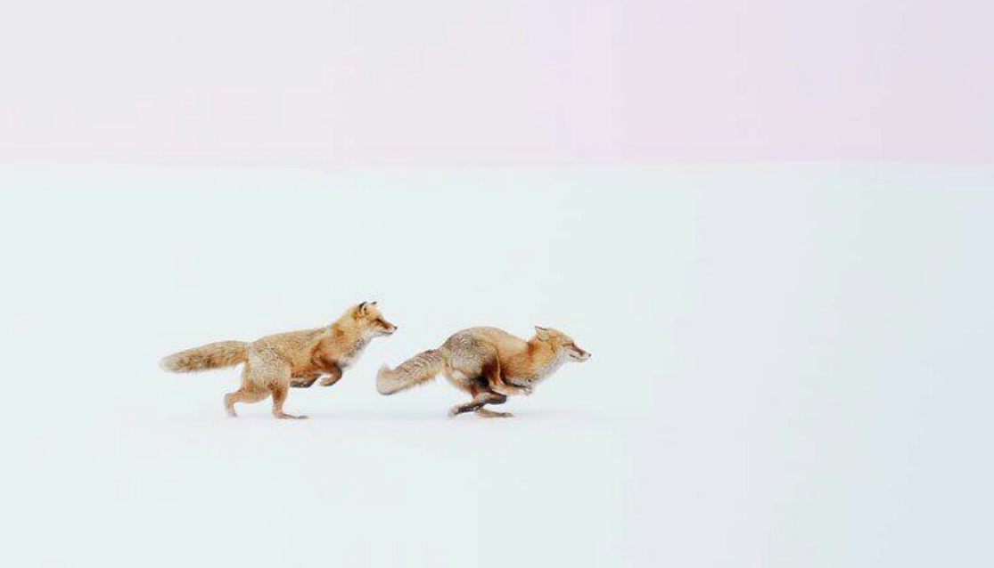 Nayae的个人主页（封面预览） - 主页封面设置 - 站酷设计师Nayae原创素材 - 站酷ZCOOL