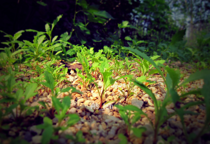 石榴呢的个人主页（封面预览） - 主页封面设置 - 站酷设计师石榴呢原创素材 - 站酷ZCOOL