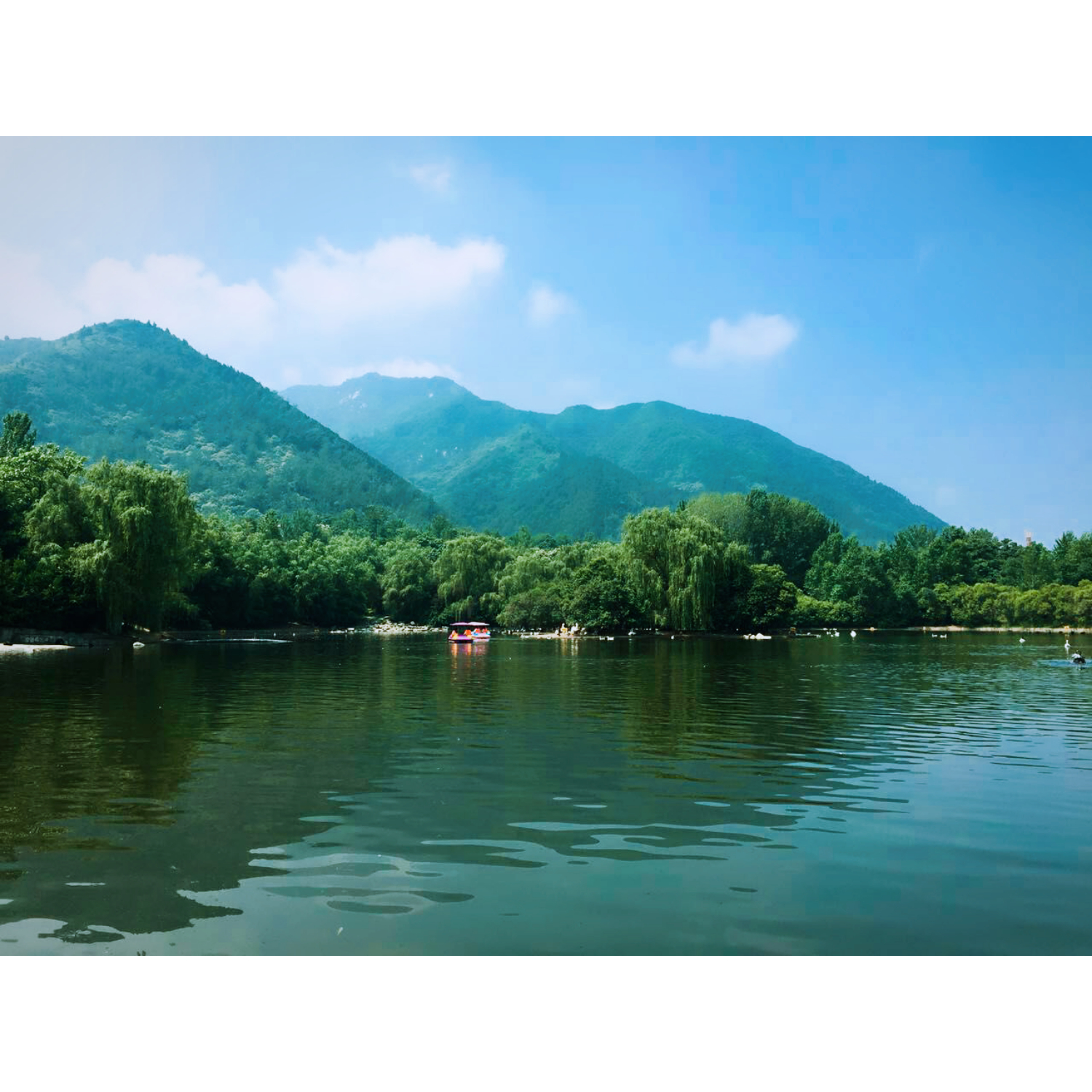 雅雅行走的優(yōu)雅的個(gè)人主頁(yè)（封面預(yù)覽） - 主頁(yè)封面設(shè)置 - 站酷設(shè)計(jì)師雅雅行走的優(yōu)雅原創(chuàng)素材 - 站酷ZCOOL