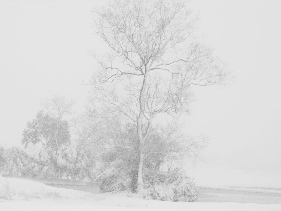 ouyang9257的个人主页（封面预览） - 主页封面设置 - 站酷设计师ouyang9257原创素材 - 站酷ZCOOL