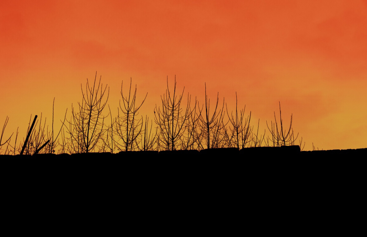 503273520的个人主页（封面预览） - 主页封面设置 - 站酷设计师503273520原创素材 - 站酷ZCOOL