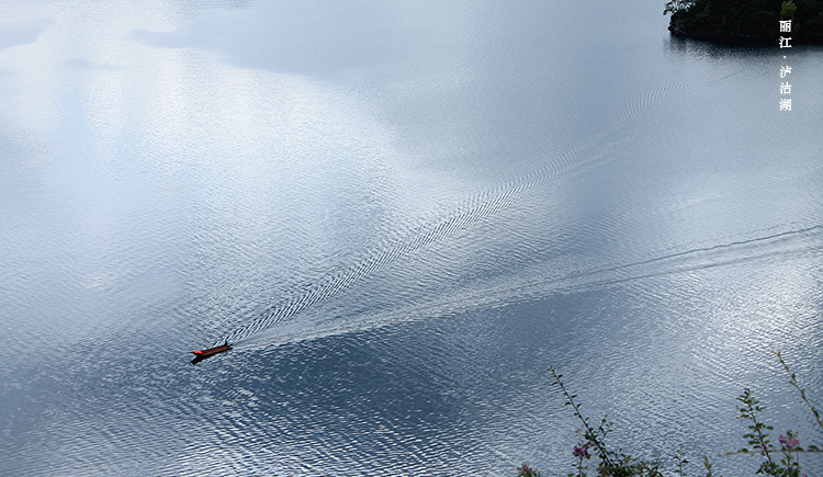 爱吃闲鱼的猫的个人主页（封面预览） - 主页封面设置 - 站酷设计师爱吃闲鱼的猫原创素材 - 站酷ZCOOL