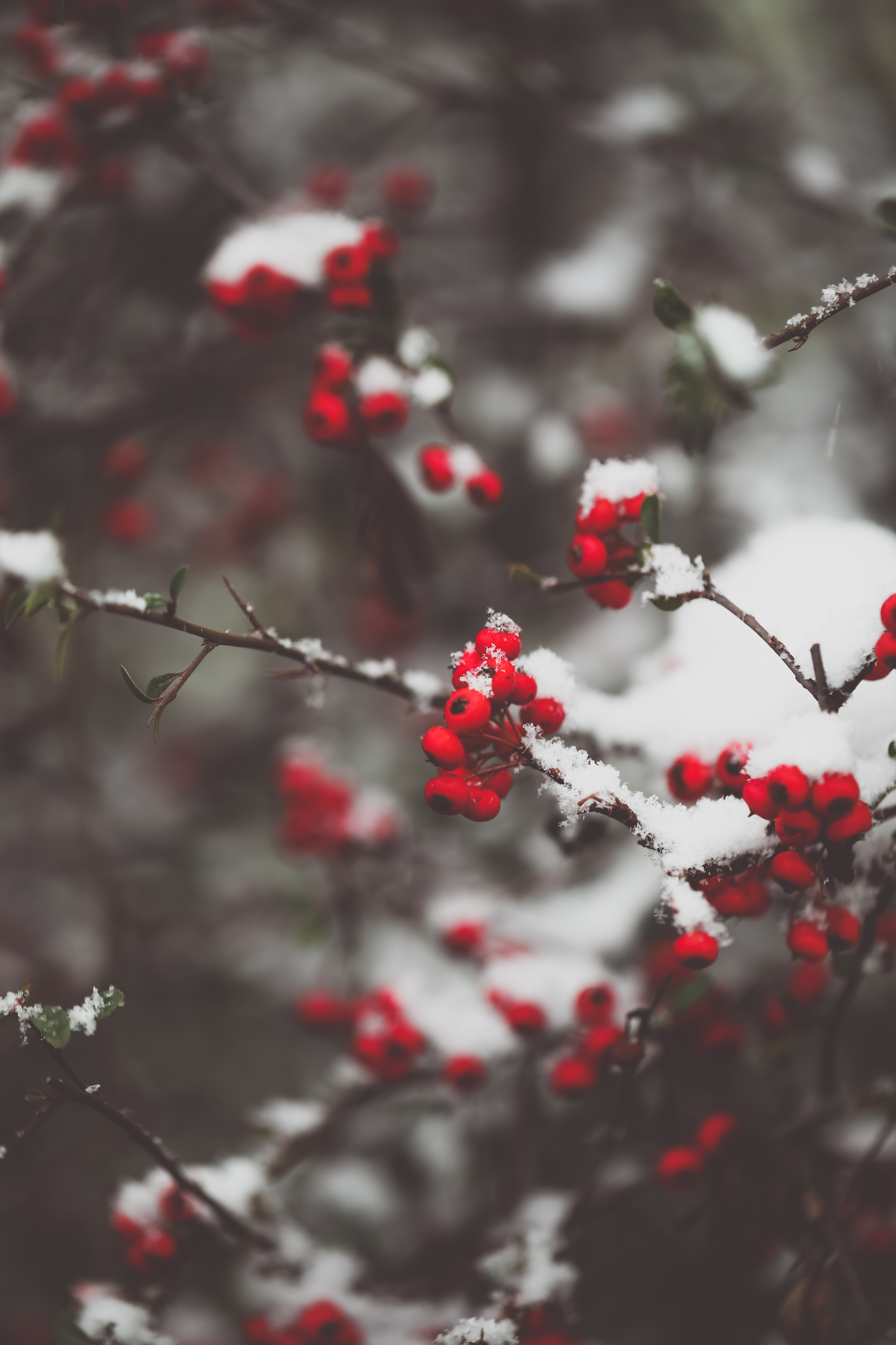 luname卢楠的个人主页（封面预览） - 主页封面设置 - 站酷设计师luname卢楠原创素材 - 站酷ZCOOL