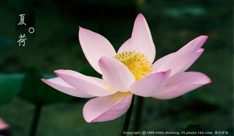 zhufeng的個人主頁（封面預(yù)覽） - 主頁封面設(shè)置 - 站酷設(shè)計師zhufeng原創(chuàng)素材 - 站酷ZCOOL