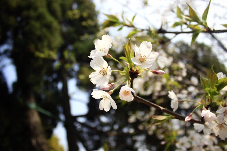 Mayday2819的个人主页（封面预览） - 主页封面设置 - 站酷设计师Mayday2819原创素材 - 站酷ZCOOL