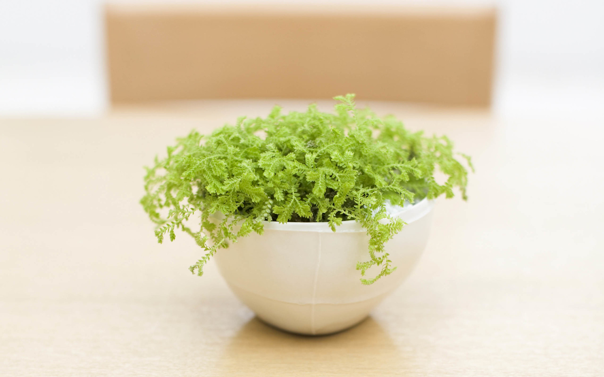 LEE760399469的個人主頁（封面預(yù)覽） - 主頁封面設(shè)置 - 站酷設(shè)計師LEE760399469原創(chuàng)素材 - 站酷ZCOOL