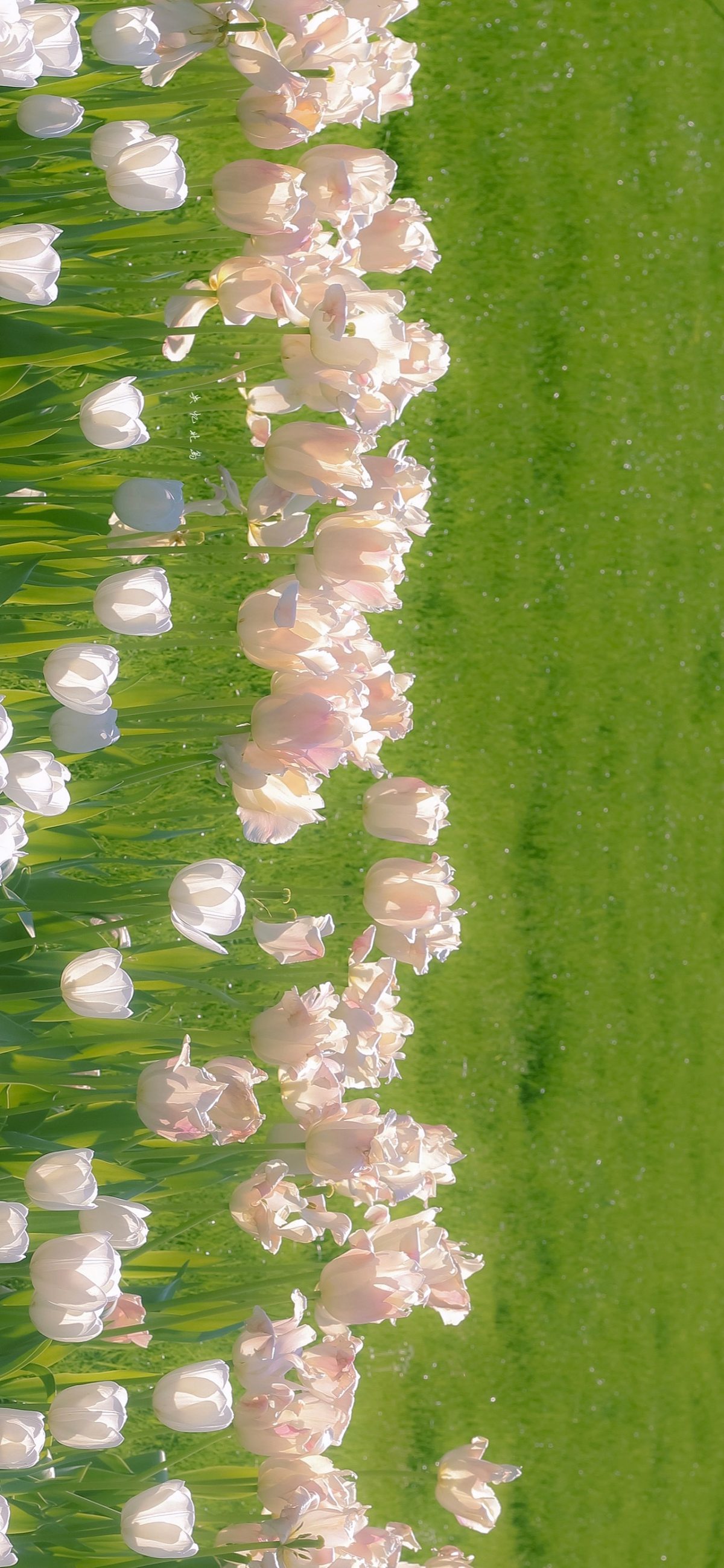 面面TAT的个人主页（封面预览） - 主页封面设置 - 站酷设计师面面TAT原创素材 - 站酷ZCOOL