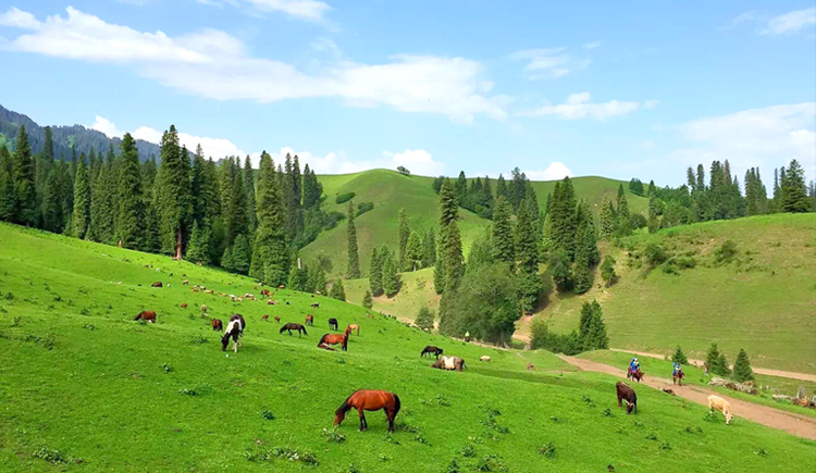 步忧的个人主页（封面预览） - 主页封面设置 - 站酷设计师步忧原创素材 - 站酷ZCOOL
