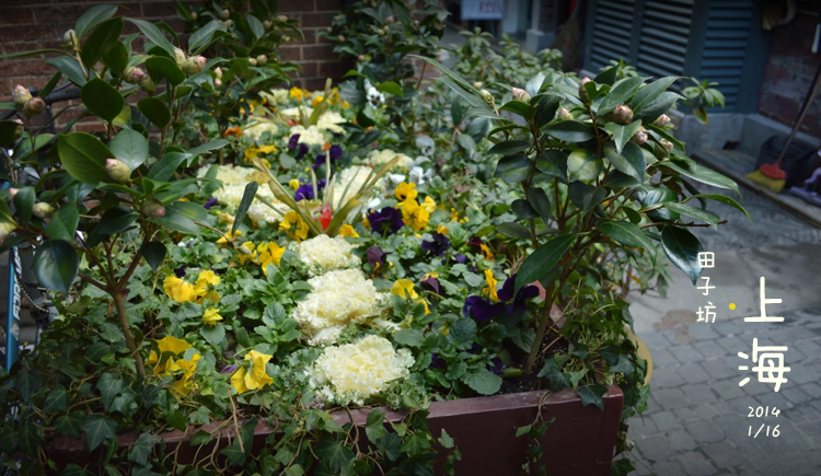 Rickywang16的個(gè)人主頁（封面預(yù)覽） - 主頁封面設(shè)置 - 站酷設(shè)計(jì)師Rickywang16原創(chuàng)素材 - 站酷ZCOOL