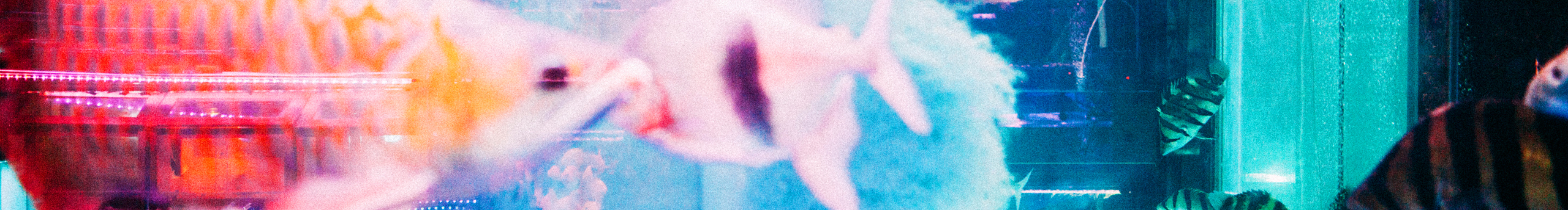 林海陈鹿的个人主页（封面预览） - 主页封面设置 - 站酷设计师林海陈鹿原创素材 - 站酷ZCOOL