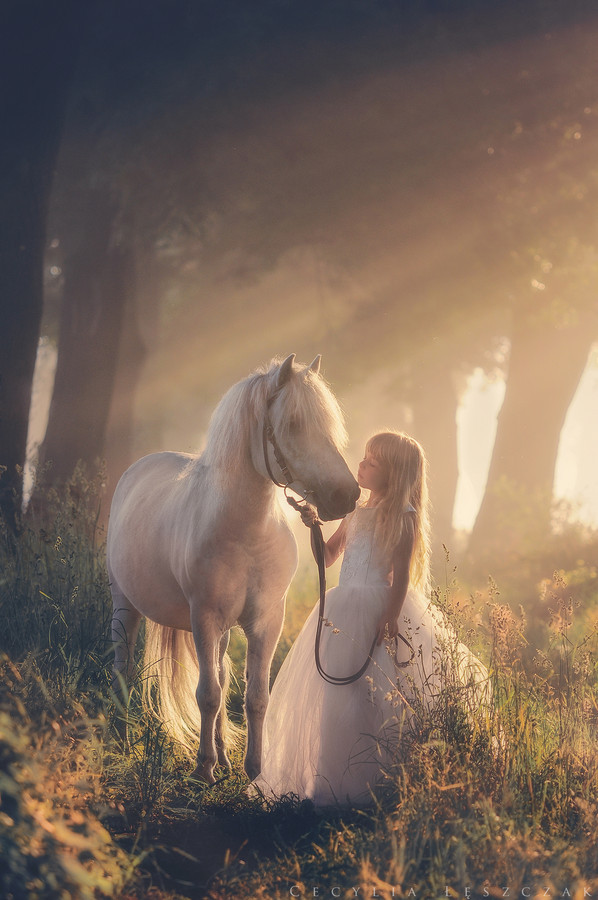 Honeylus的个人主页（封面预览） - 主页封面设置 - 站酷设计师Honeylus原创素材 - 站酷ZCOOL