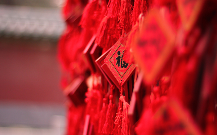 虚菜鸟的个人主页（封面预览） - 主页封面设置 - 站酷设计师虚菜鸟原创素材 - 站酷ZCOOL