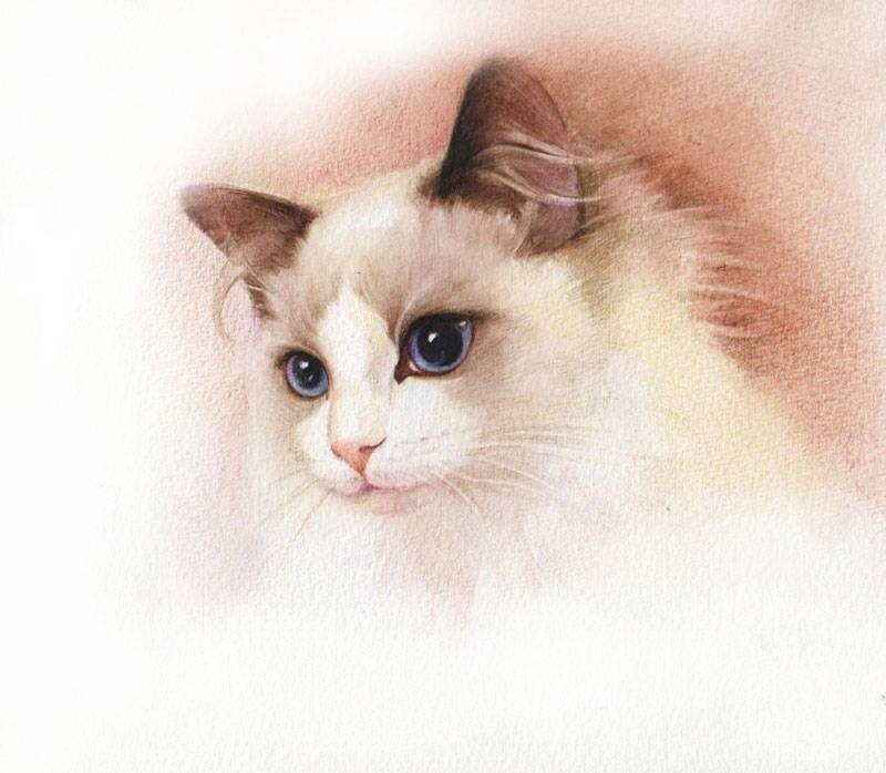 Yokatee的个人主页（封面预览） - 主页封面设置 - 站酷设计师Yokatee原创素材 - 站酷ZCOOL