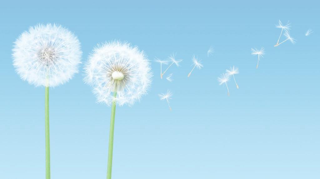 大馬兒的個人主頁（封面預(yù)覽） - 主頁封面設(shè)置 - 站酷設(shè)計師大馬兒原創(chuàng)素材 - 站酷ZCOOL