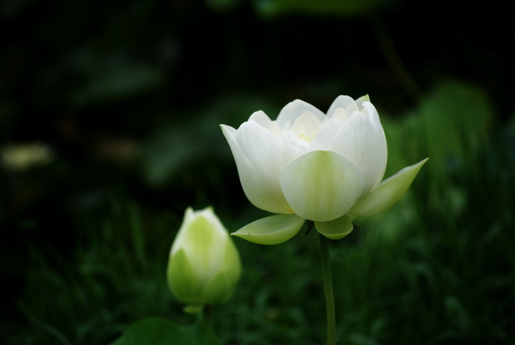 小_傻_子的個(gè)人主頁(yè)（封面預(yù)覽） - 主頁(yè)封面設(shè)置 - 站酷設(shè)計(jì)師小_傻_子原創(chuàng)素材 - 站酷ZCOOL