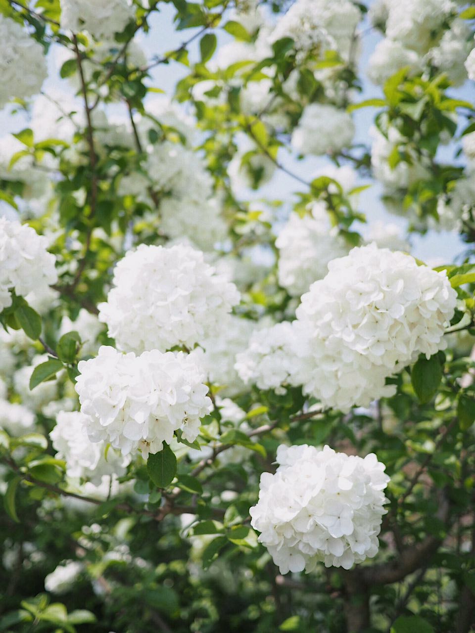 sodaoctopus的个人主页（封面预览） - 主页封面设置 - 站酷设计师sodaoctopus原创素材 - 站酷ZCOOL