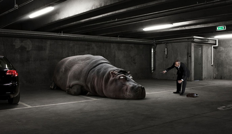 刘慕一的个人主页（封面预览） - 主页封面设置 - 站酷设计师刘慕一原创素材 - 站酷ZCOOL