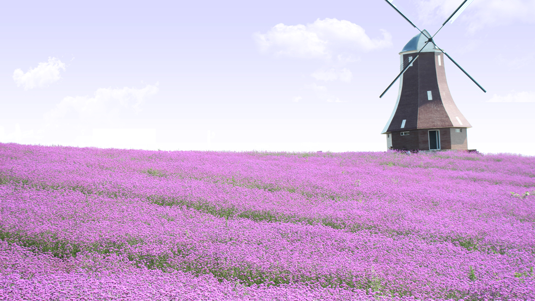 Septem的个人主页（封面预览） - 主页封面设置 - 站酷设计师Septem原创素材 - 站酷ZCOOL